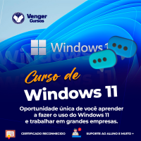 Windows 11